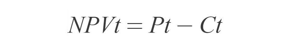 Net present value of the investment project